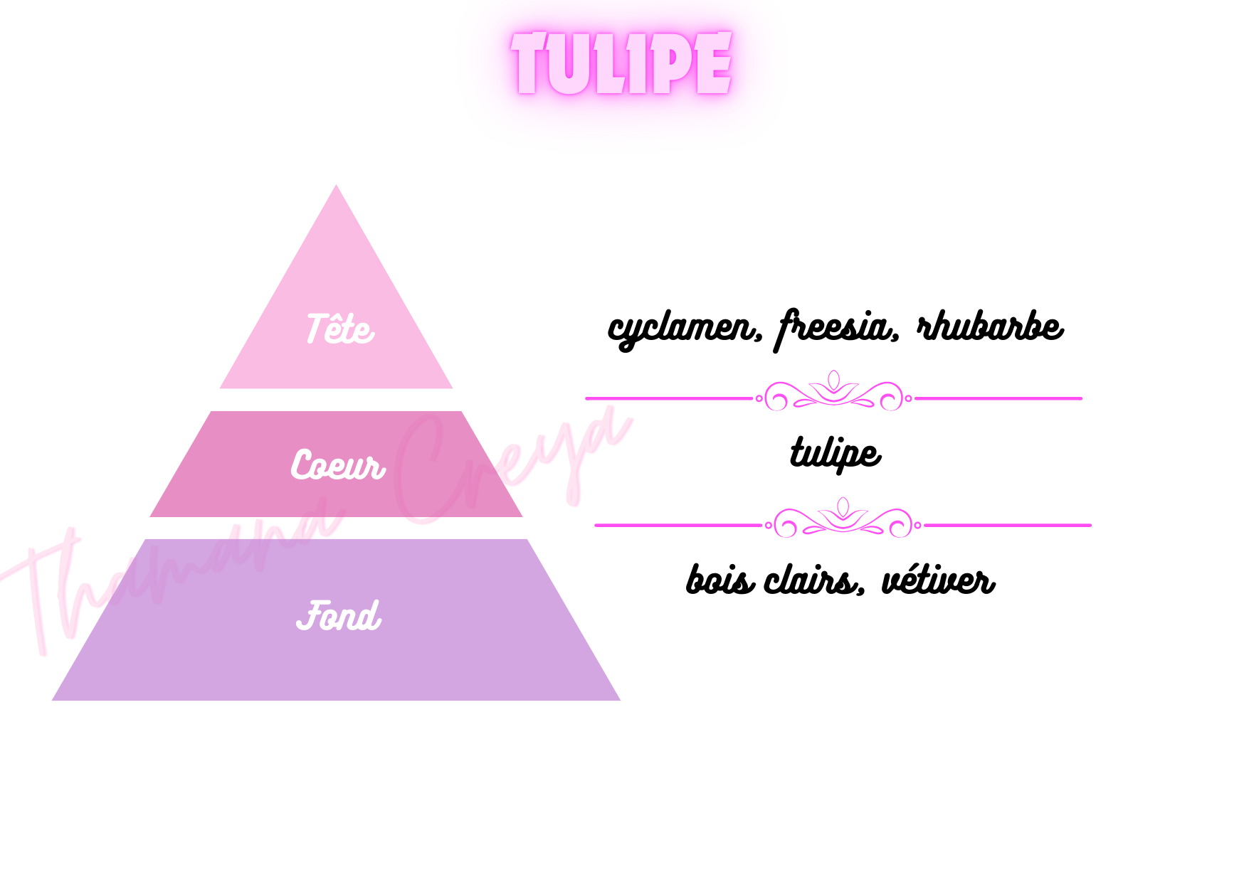 Tulipe