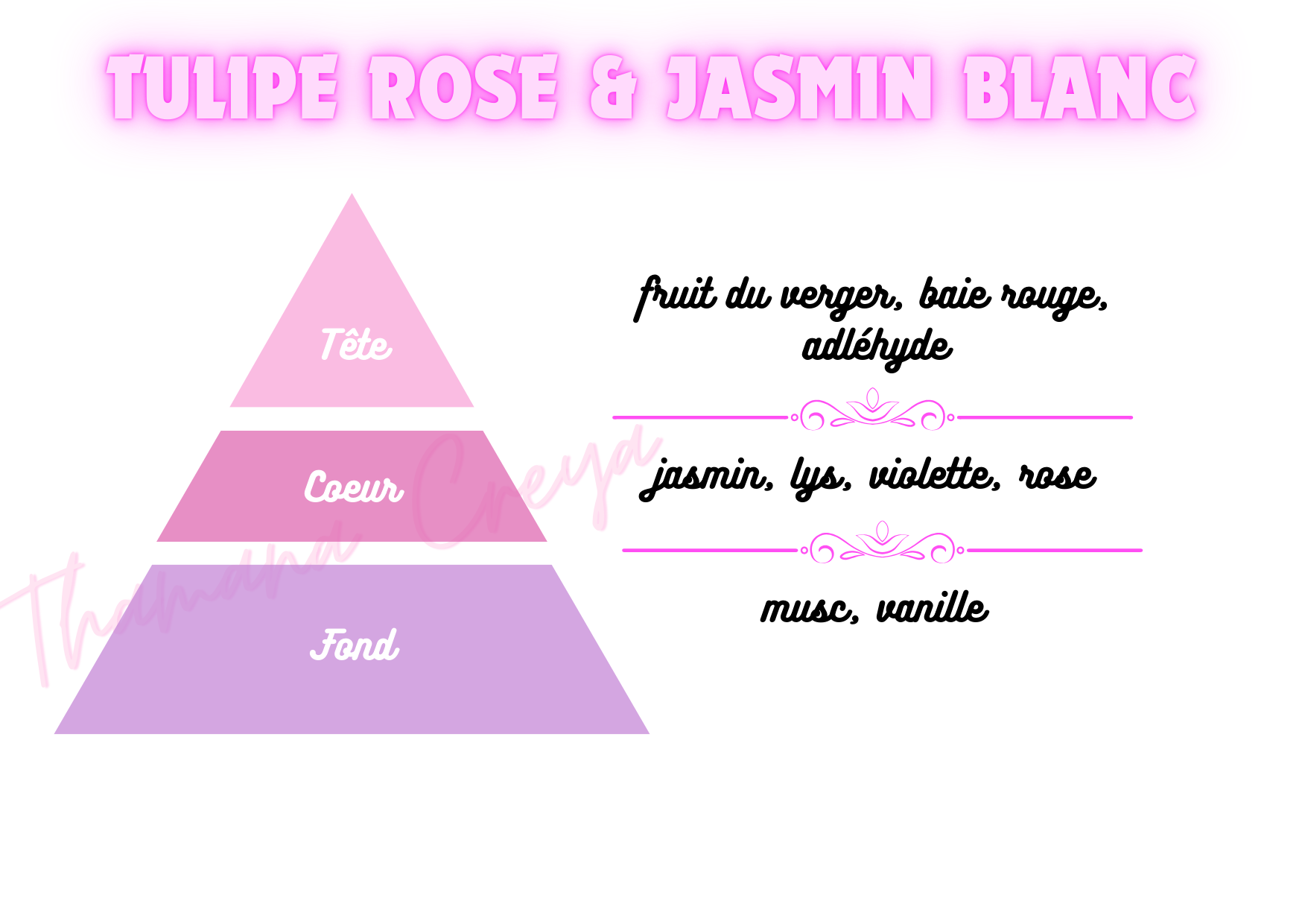 Tulipe rose & jasmin blanc
