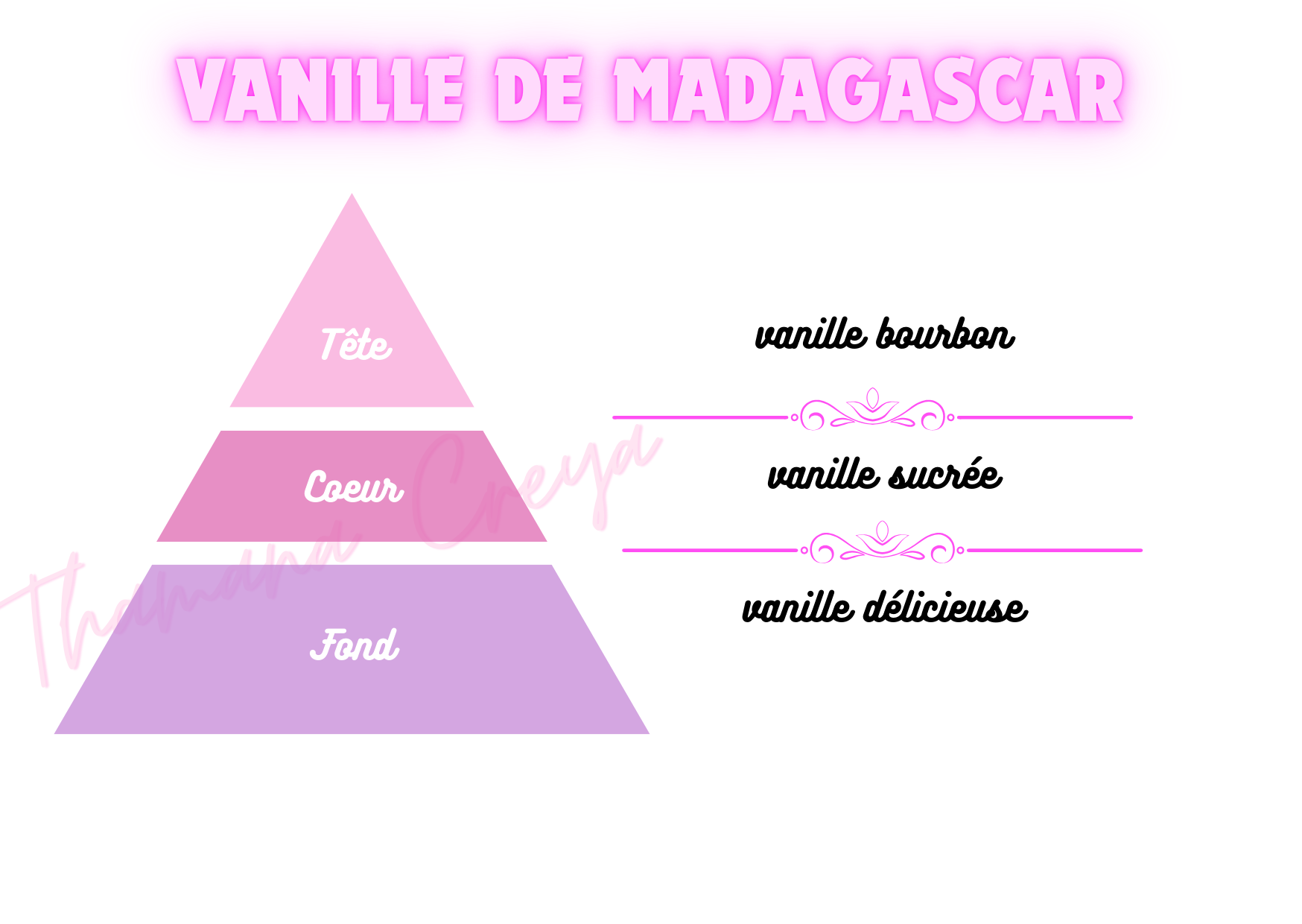 Vanille de Madagascar