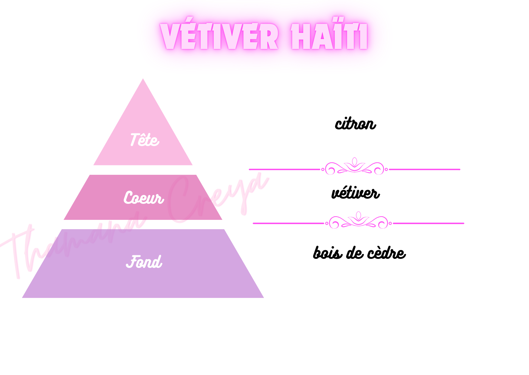 Vétiver Haïti