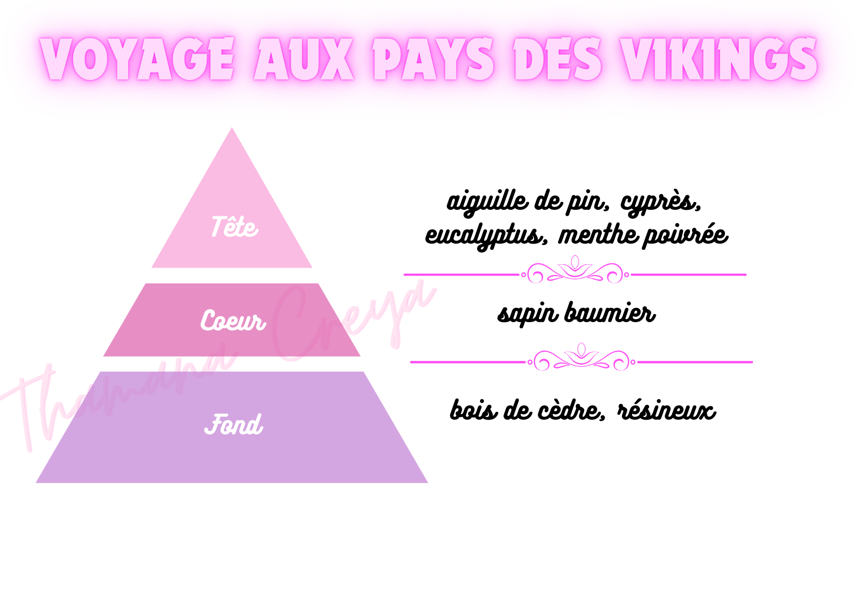 Voyage aux pays des vikings