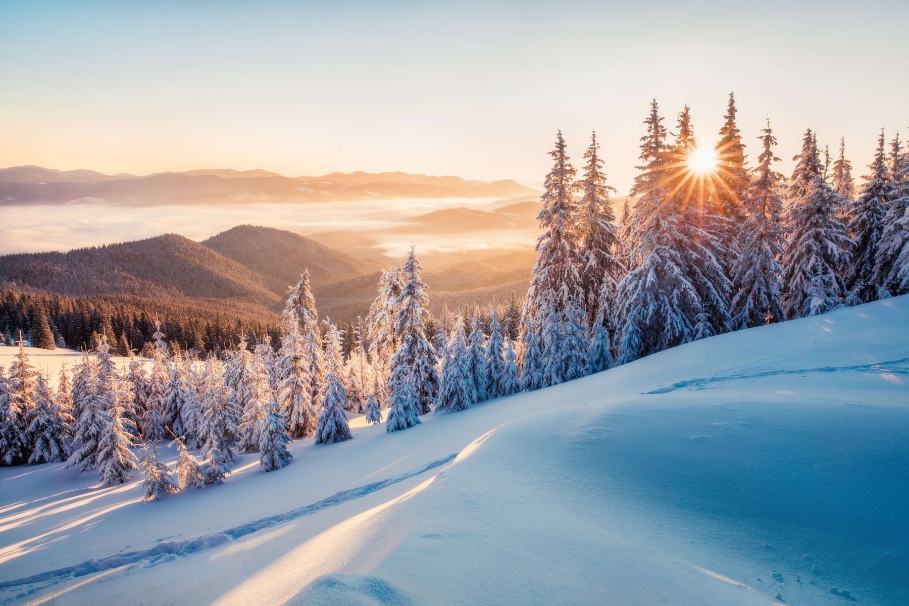 Un matin d'hiver