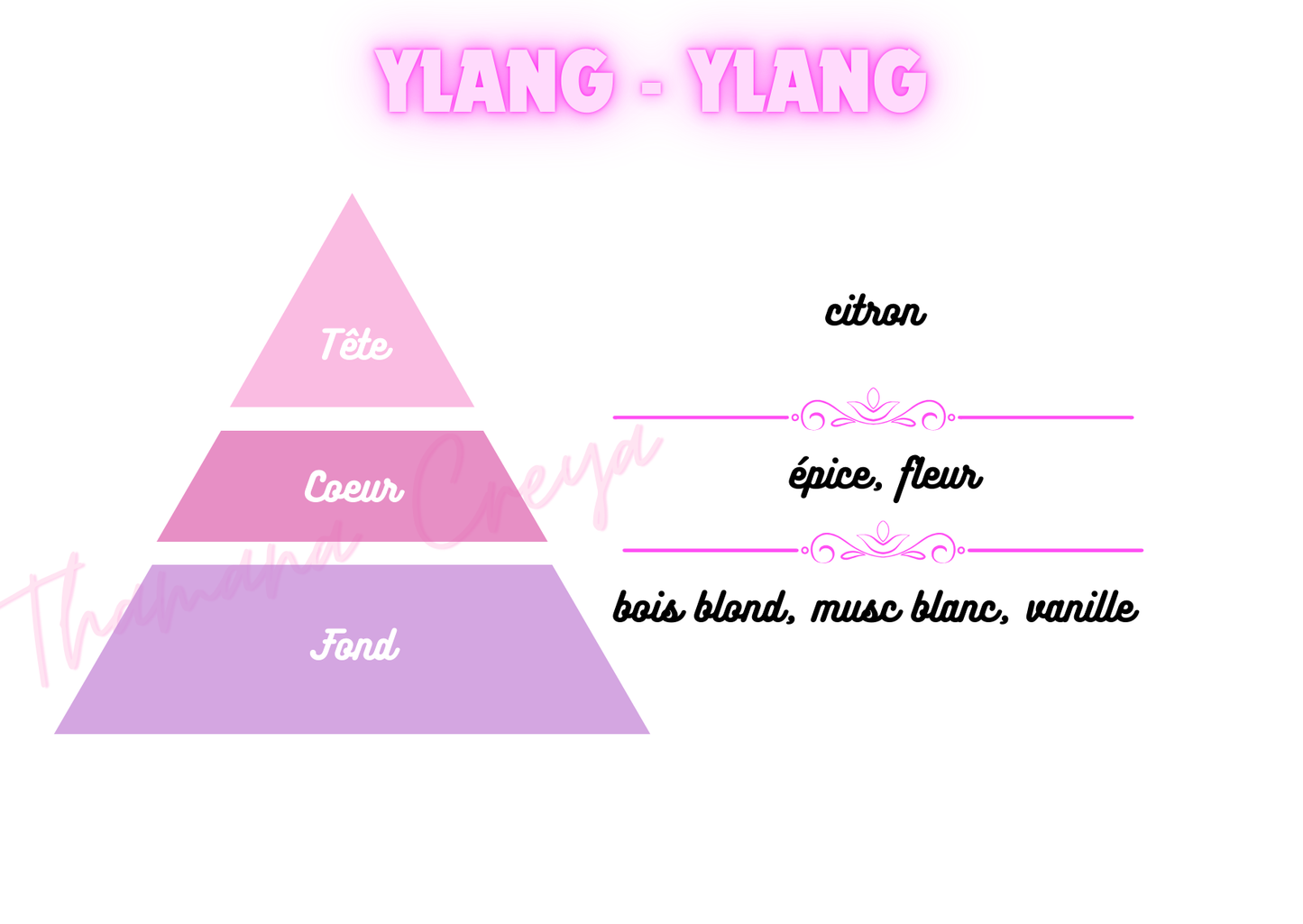 Ylang ylang /N°Lot : TC-26273